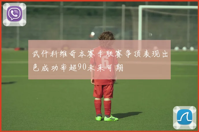 武什科维奇本赛季联赛争顶表现出色成功率超90未来可期