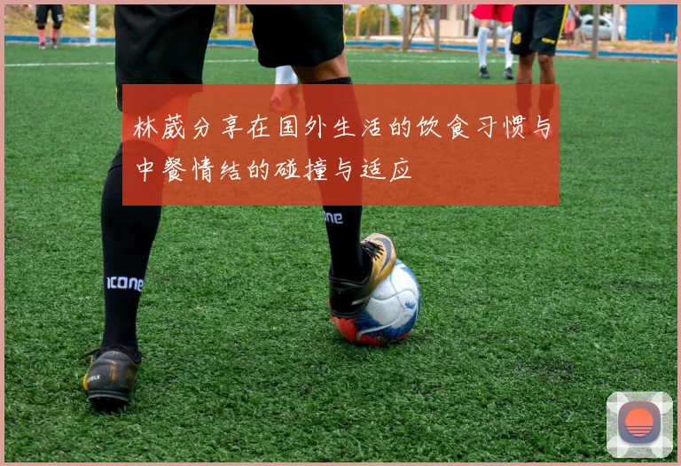 林葳分享在国外生活的饮食习惯与中餐情结的碰撞与适应